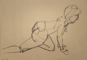 Charcoal on tinted sketching paper, 35 x 50 cm or 13.75 x 19.75 in