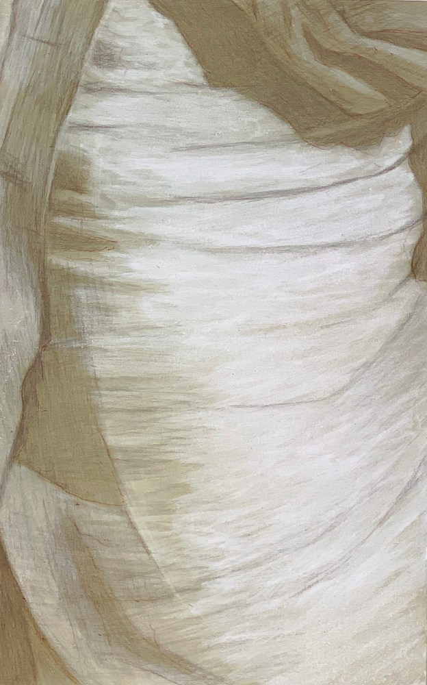 Underdrawing in silverpoint #36 over toned ground, highlighted with white.