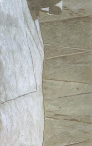 Silverpoint underdrawing #38 on toned ground highlighted with acrylic.