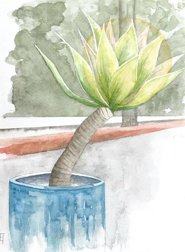 RGB but still leaning toward the light