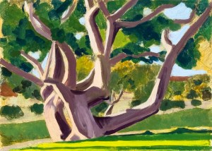 The Coral Tree, Oil on panel. 9 x 12.5" or 21 x 32 cm. November 2025